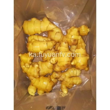 ახალი Ginger ექსპორტი თურქეთში